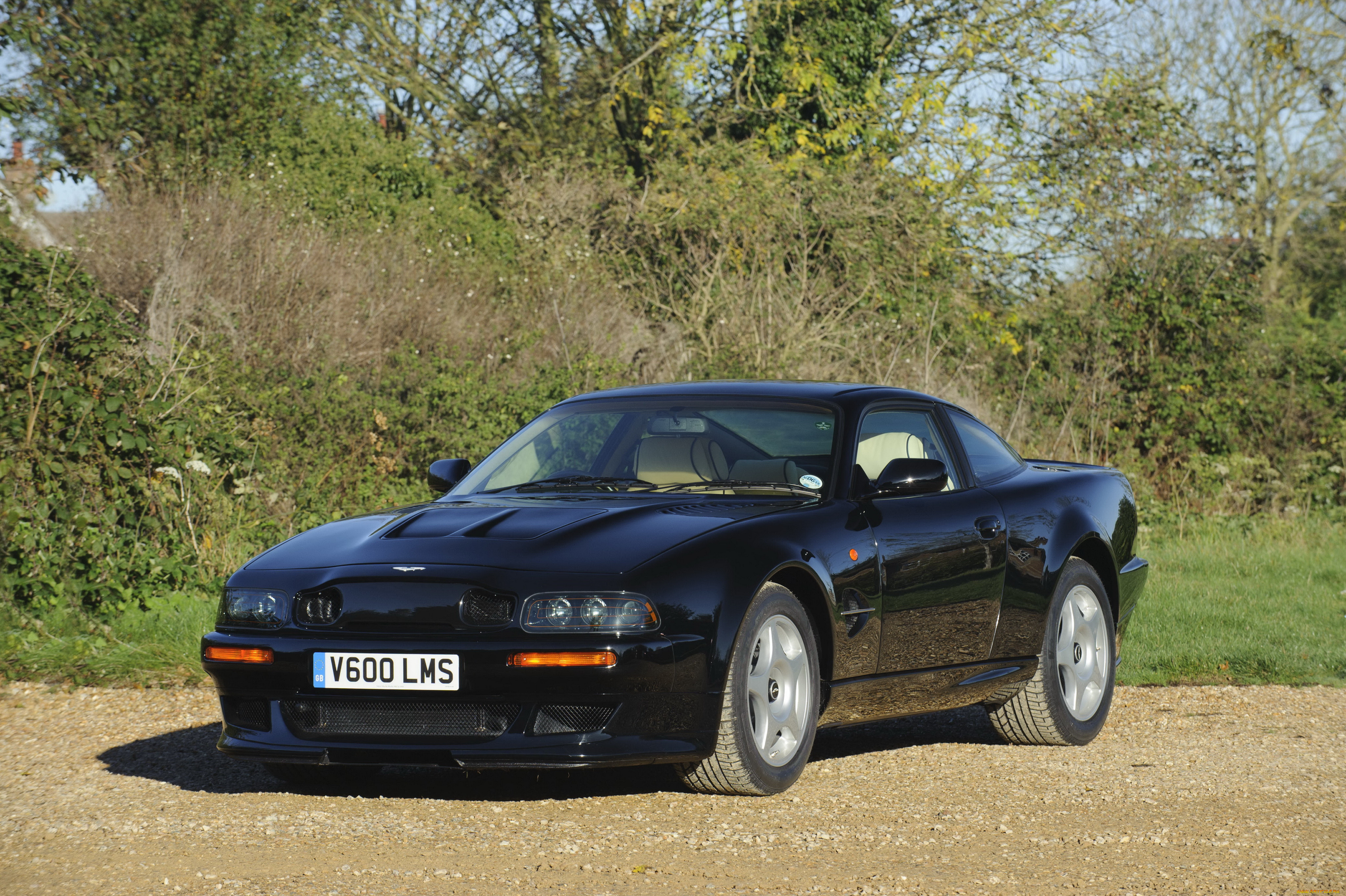 Aston Martin v8 Vantage 1977